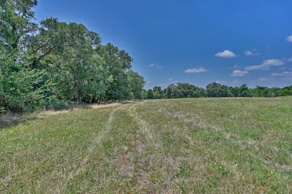 6238 Kovar Road Fayetteville, TX 78940