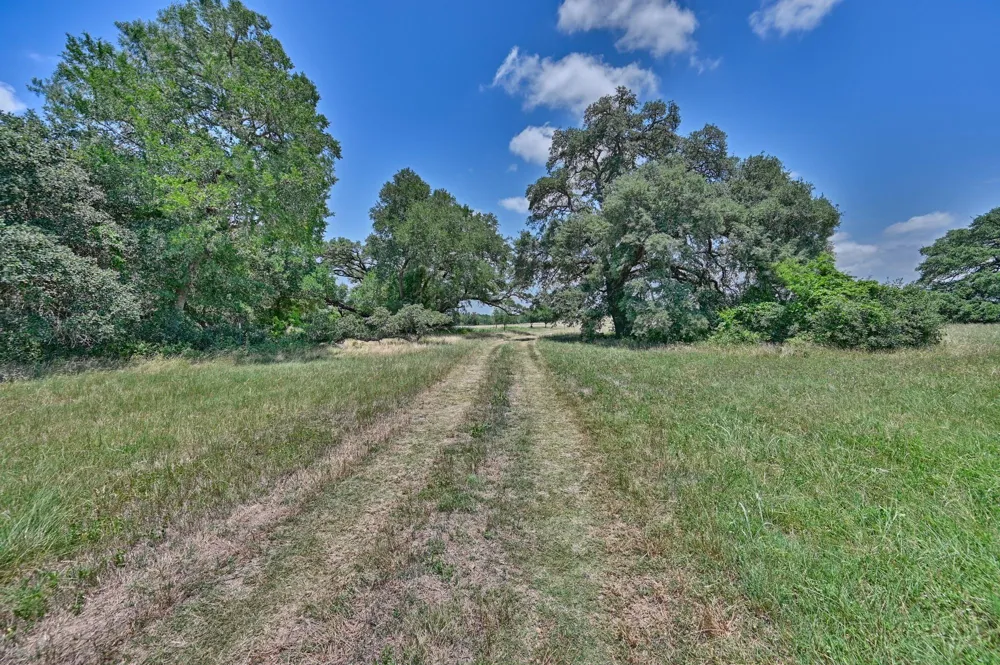 6238 Kovar Road Fayetteville, TX 78940