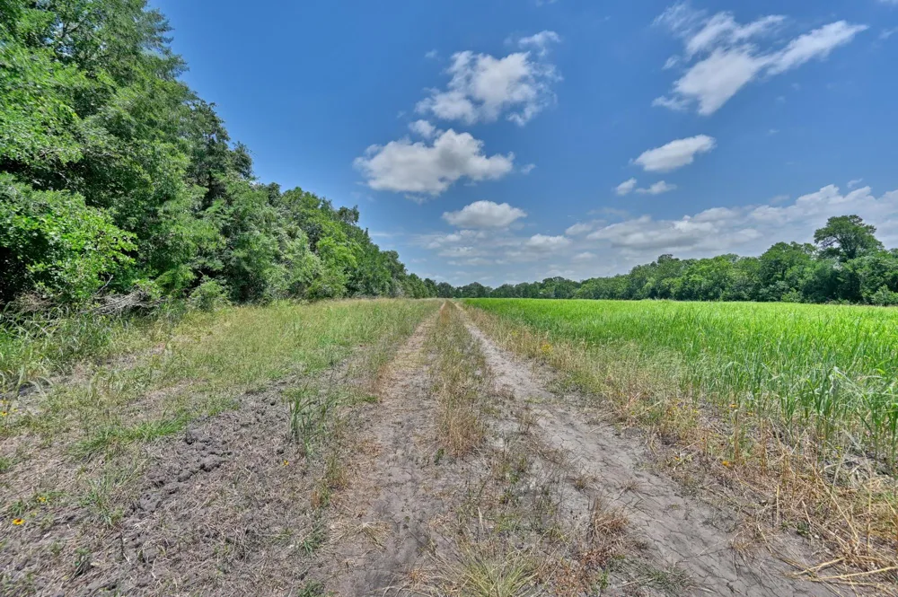 6238 Kovar Road Fayetteville, TX 78940
