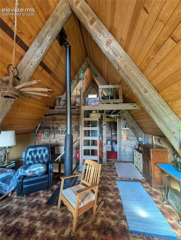 163 Cutthroat Drive Lake George, CO 80827