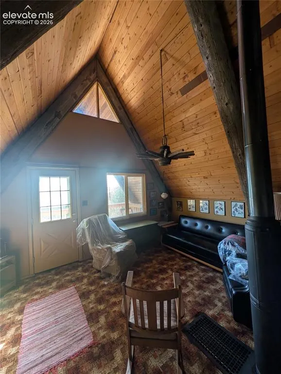 163 Cutthroat Drive Lake George, CO 80827
