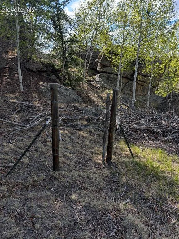 163 Cutthroat Drive Lake George, CO 80827