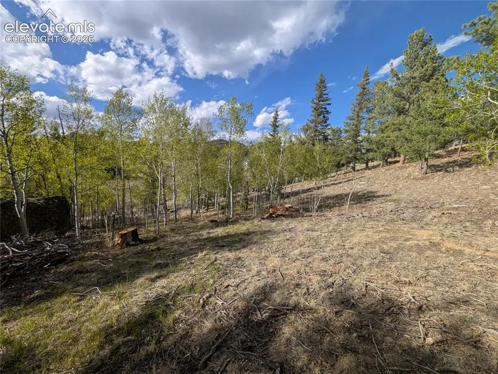 163 Cutthroat Drive Lake George, CO 80827