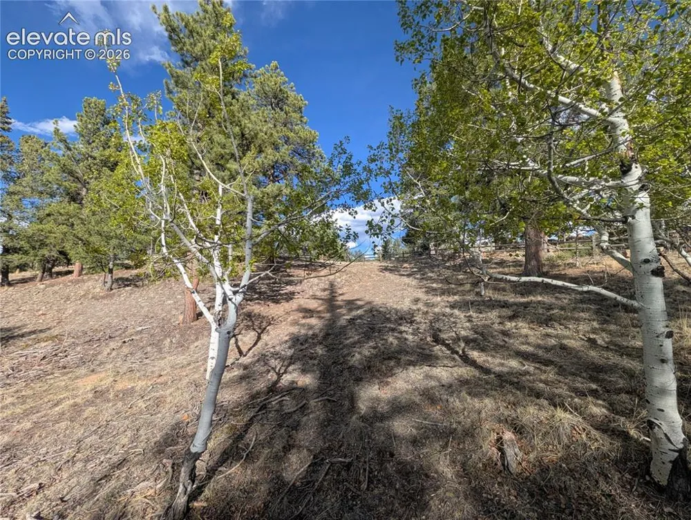 163 Cutthroat Drive Lake George, CO 80827