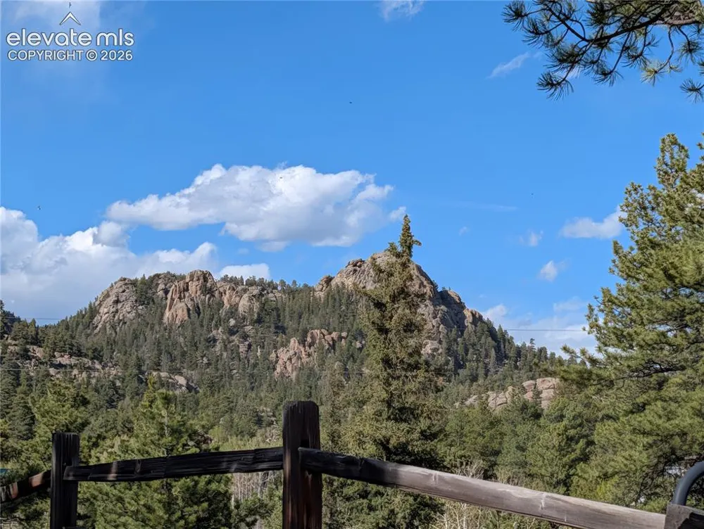 163 Cutthroat Drive Lake George, CO 80827