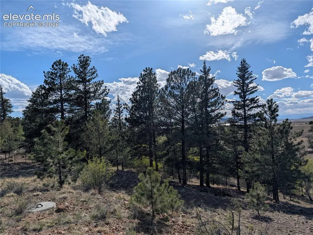 163 Cutthroat Drive Lake George, CO 80827