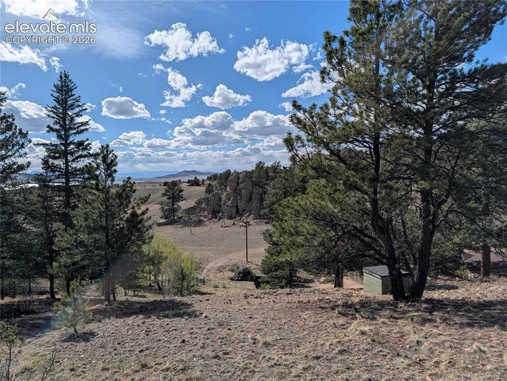 163 Cutthroat Drive Lake George, CO 80827