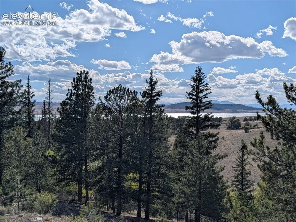 163 Cutthroat Drive Lake George, CO 80827