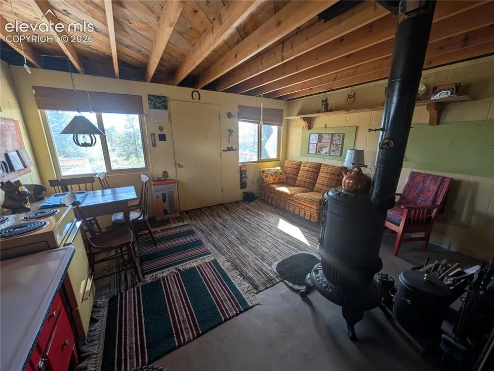 163 Cutthroat Drive Lake George, CO 80827