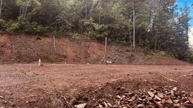 Cline Branch Rd. Bryson City, NC 28713