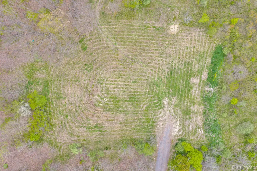 Martin Road Mussey Township, MI 48014