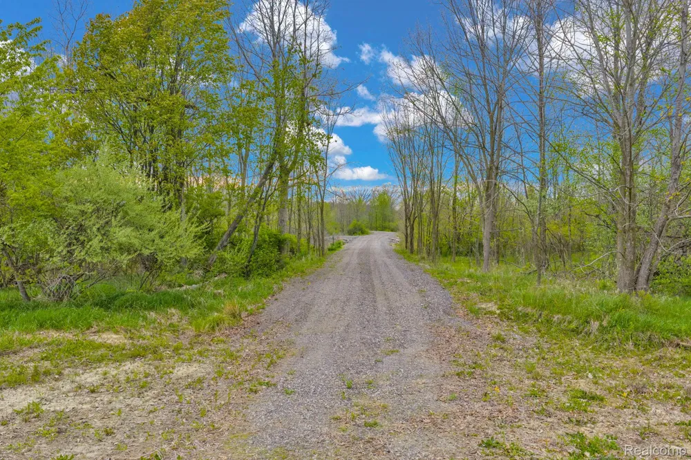 Martin Road Mussey Township, MI 48014