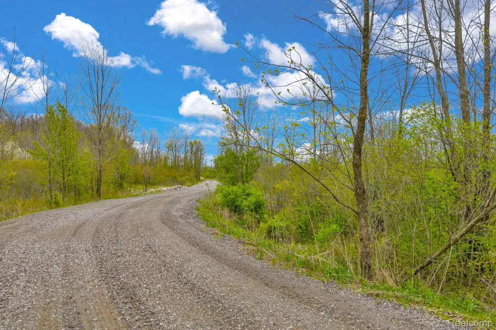 Martin Road Mussey Township, MI 48014