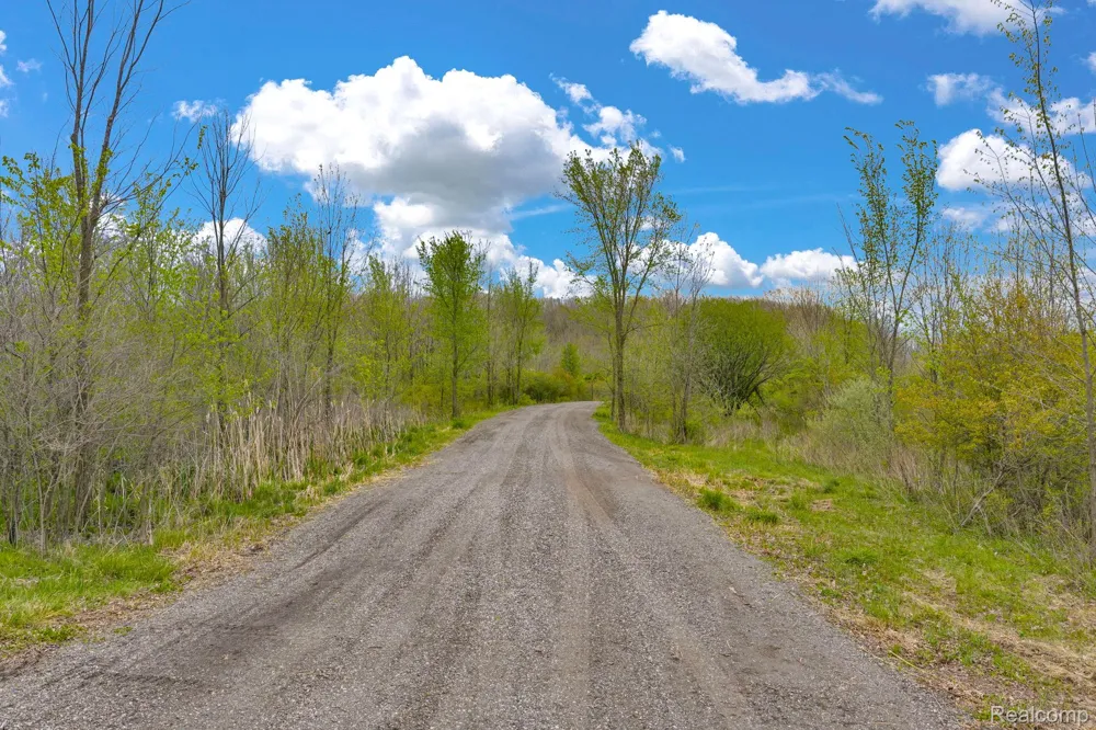 Martin Road Mussey Township, MI 48014