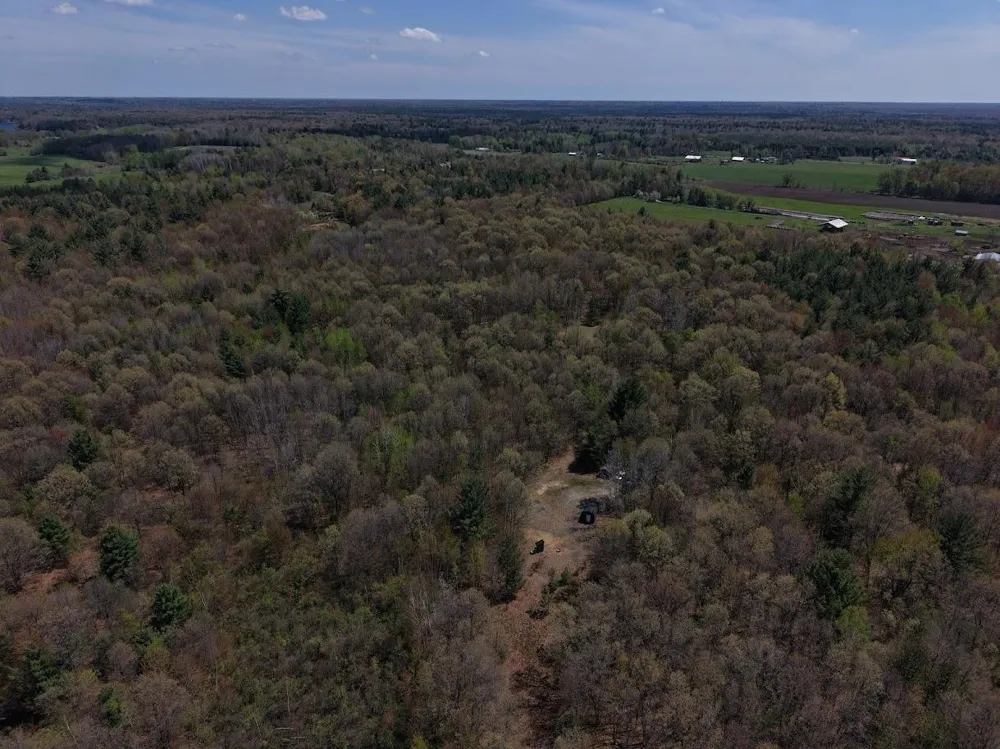 Henry Street Moffatt Township, MI 48610