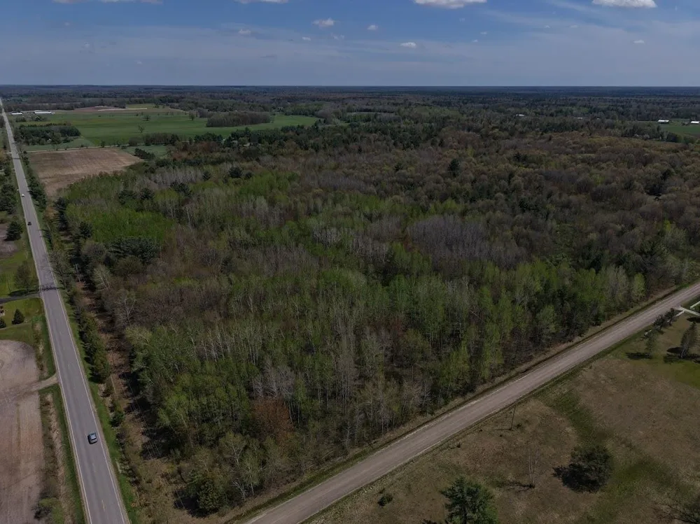 Henry Street Moffatt Township, MI 48610