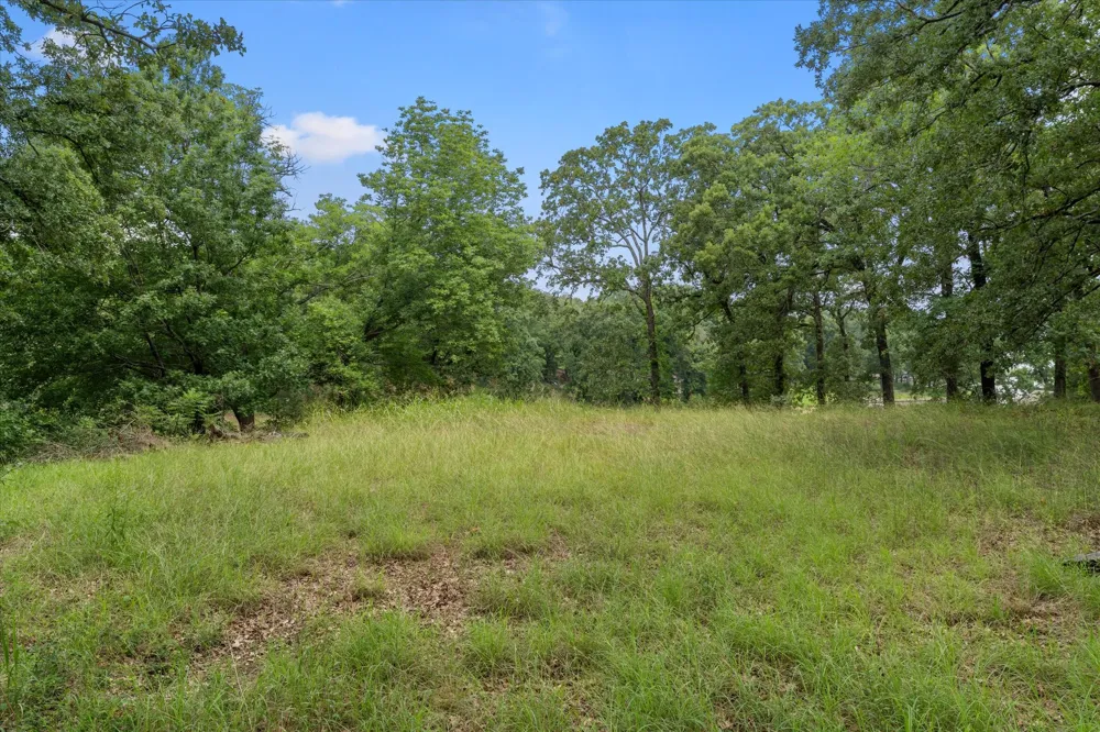 78 Tall Oaks Drive Streetman, TX 75859