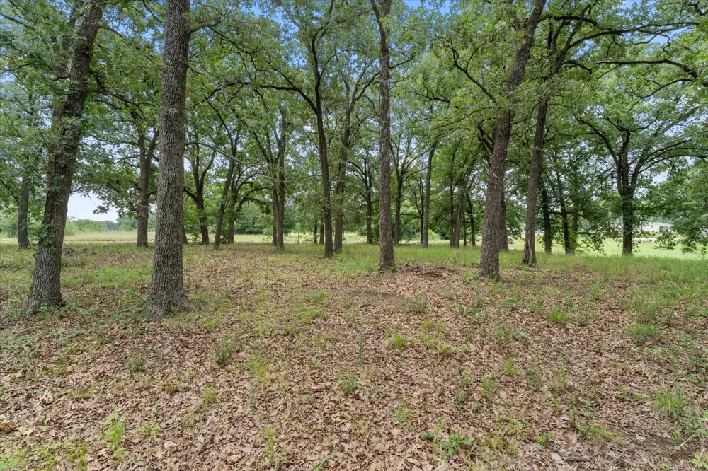78 Tall Oaks Drive Streetman, TX 75859