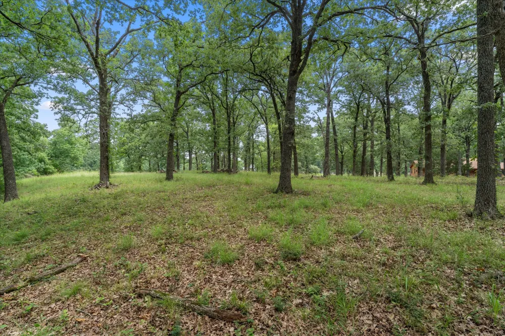 78 Tall Oaks Drive Streetman, TX 75859