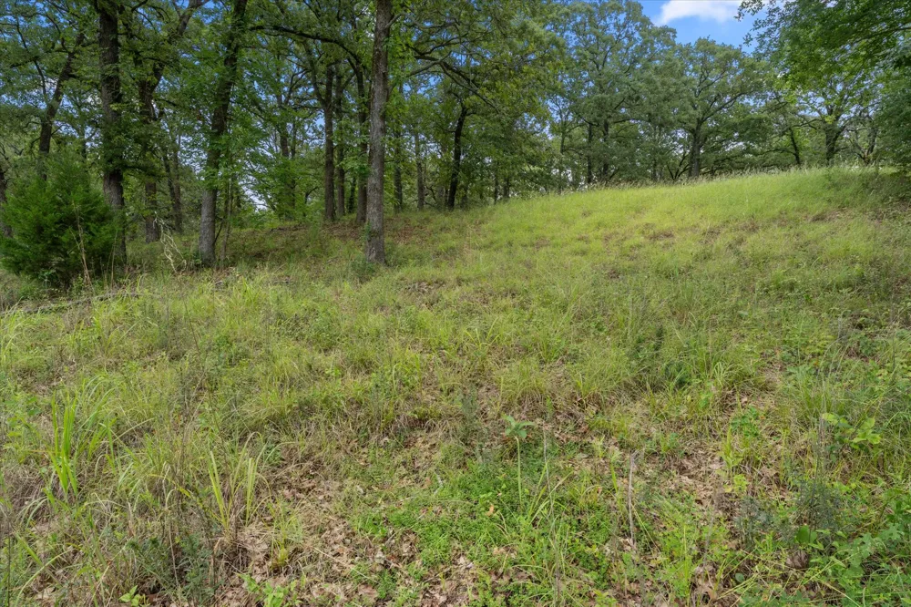 78 Tall Oaks Drive Streetman, TX 75859