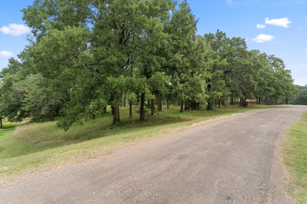 78 Tall Oaks Drive Streetman, TX 75859