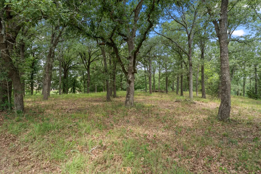78 Tall Oaks Drive Streetman, TX 75859