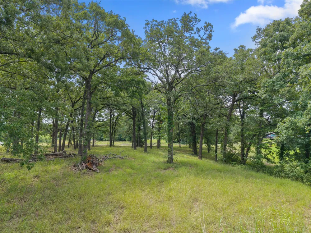 78 Tall Oaks Drive Streetman, TX 75859