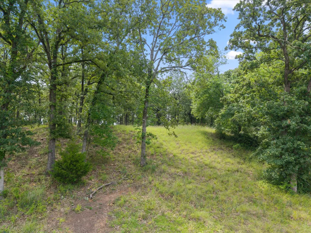 78 Tall Oaks Drive Streetman, TX 75859