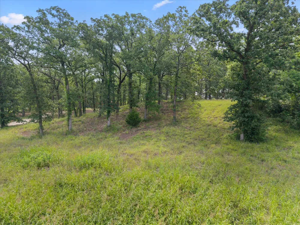 78 Tall Oaks Drive Streetman, TX 75859