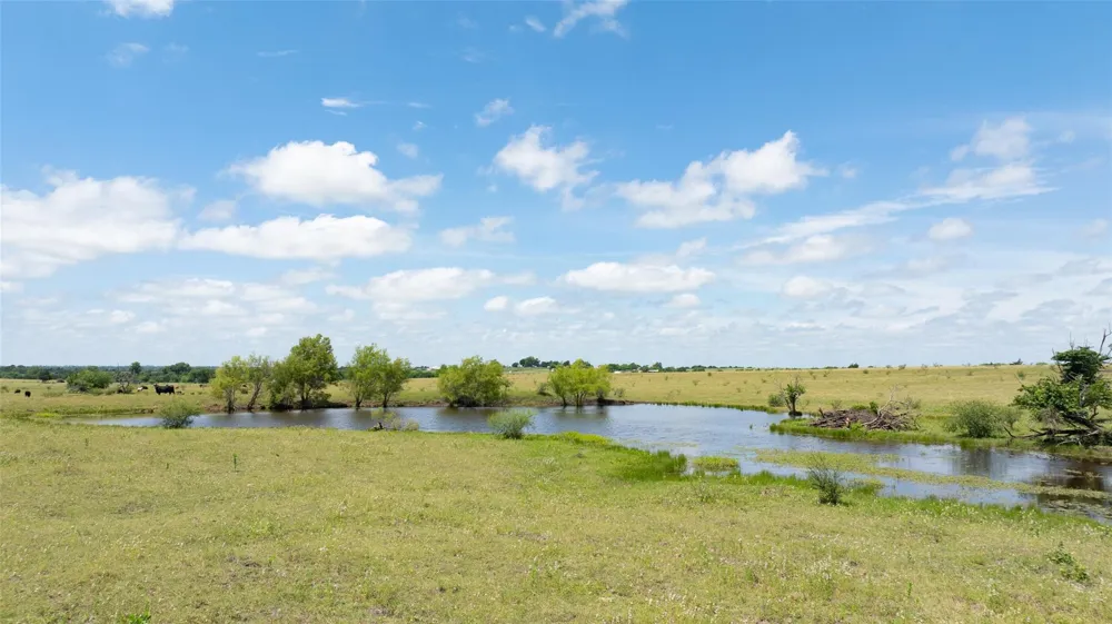 5661 Chadwick Hogan Road Chappell Hill, TX 77426