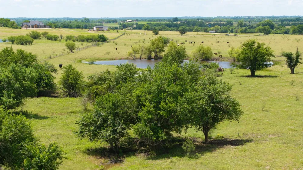 5661 Chadwick Hogan Road Chappell Hill, TX 77426