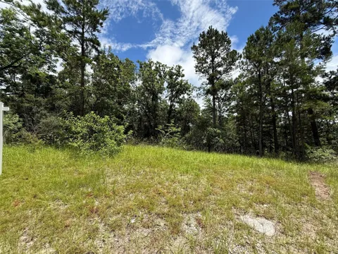 Arrow Head Lot 268 Lane