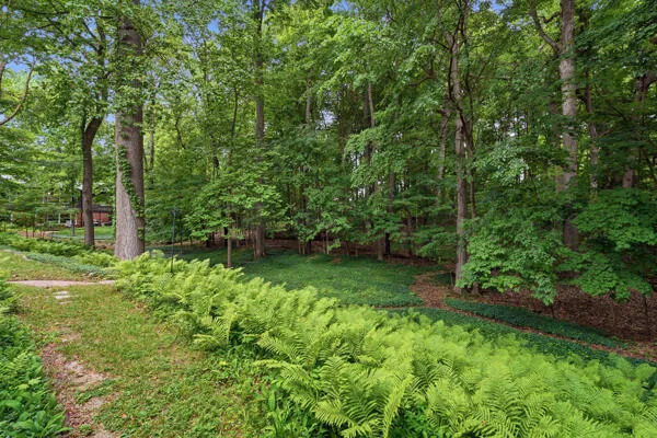 215 Hill Street Northville, MI 48167