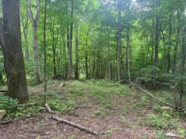 00 Sugar Loaf Mountain Road Marshall, NC 28753