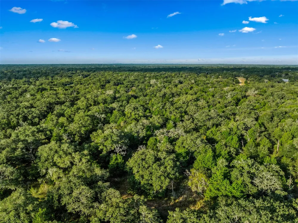 Red Oak Court Weimar, TX 78962