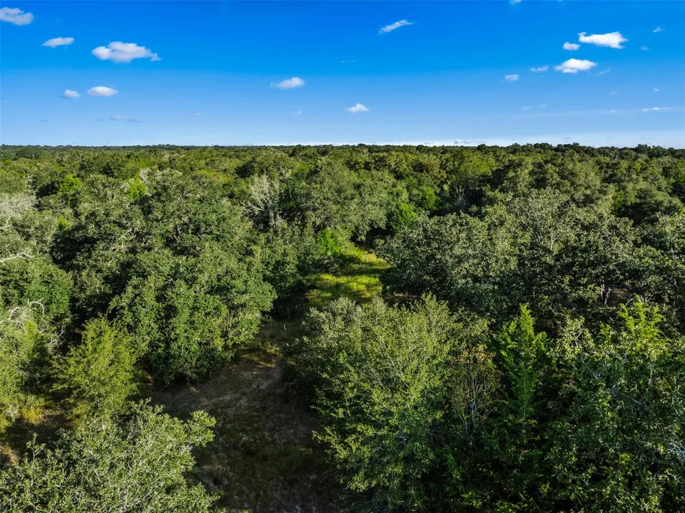 Red Oak Court Weimar, TX 78962