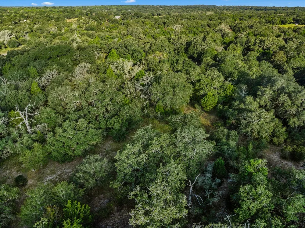 Red Oak Court Weimar, TX 78962