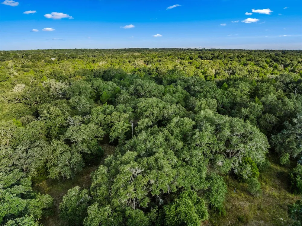 Red Oak Court Weimar, TX 78962