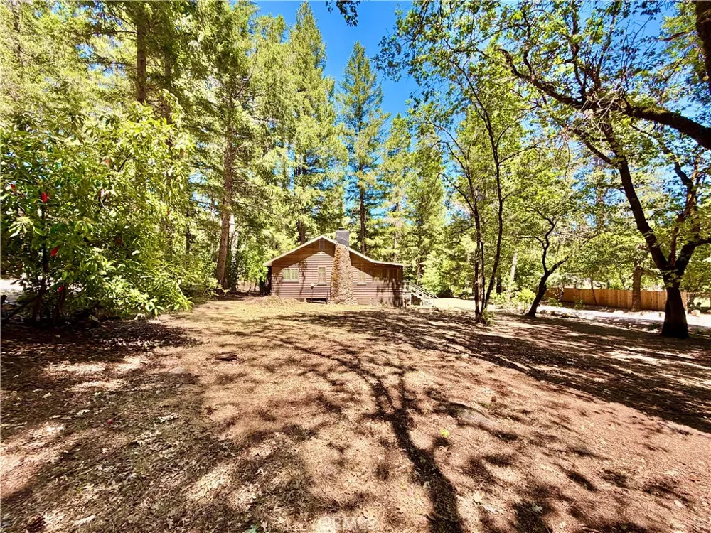 9520 Oak Place Cobb, CA 95426