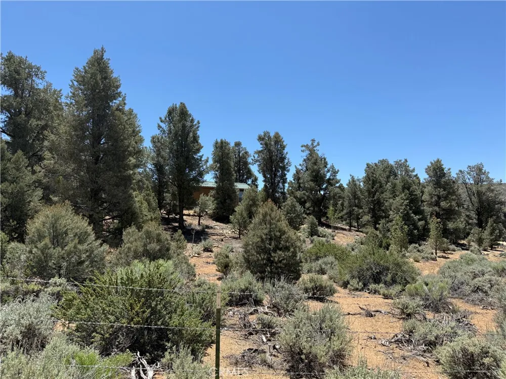 98417 Sierra Meadows Road Kennedy Meadows, CA 93527