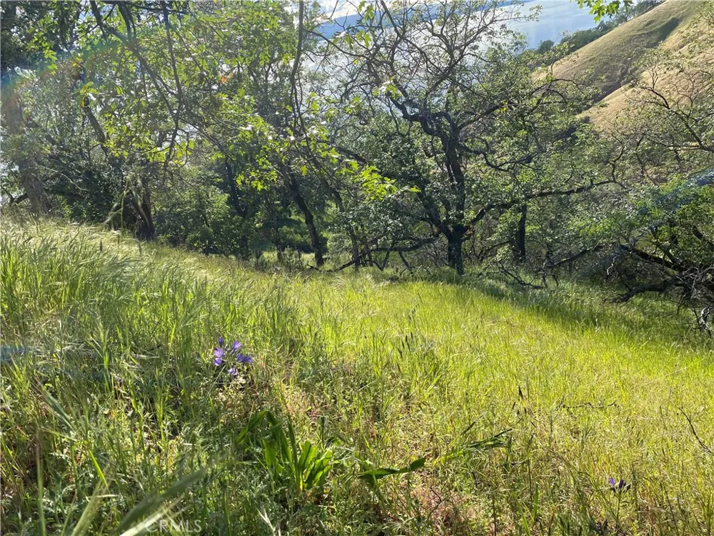 7524 Bruner Drive Glenhaven, CA 95443