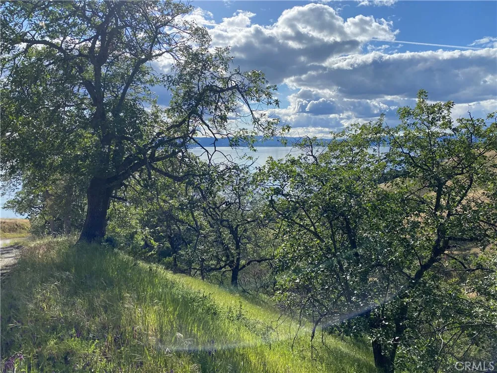 7524 Bruner Drive Glenhaven, CA 95443