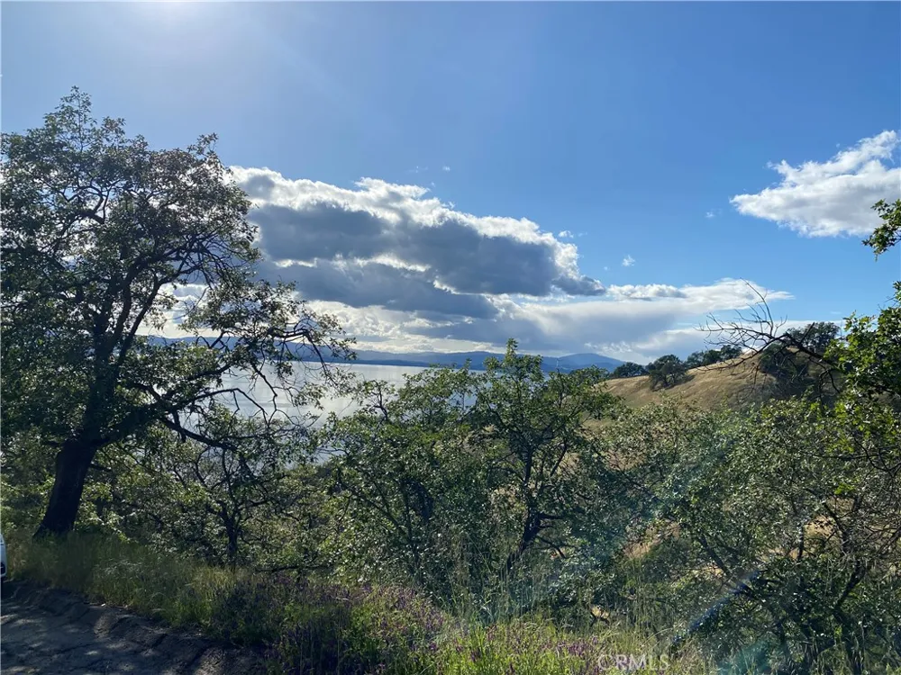 7524 Bruner Drive Glenhaven, CA 95443