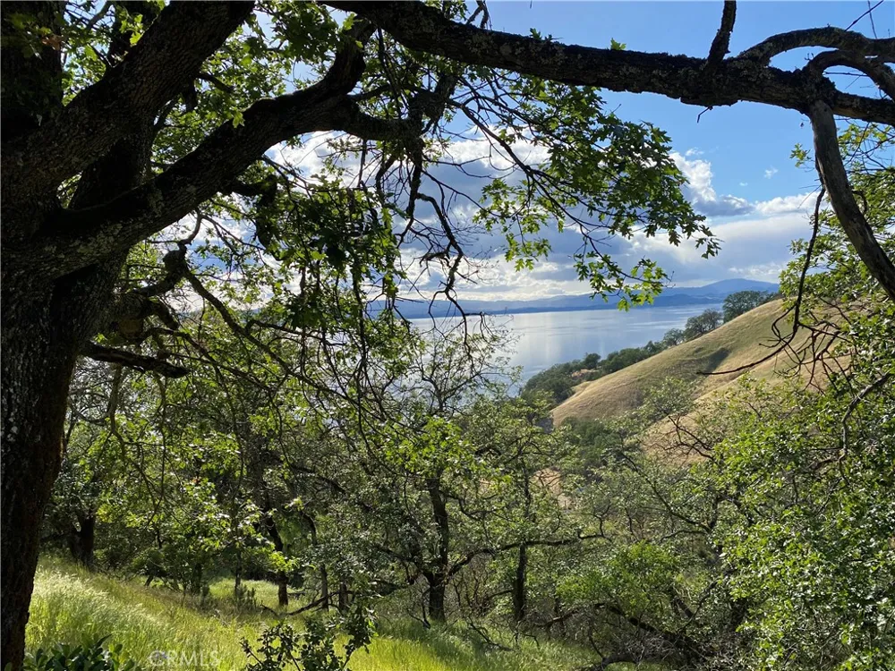 7524 Bruner Drive Glenhaven, CA 95443