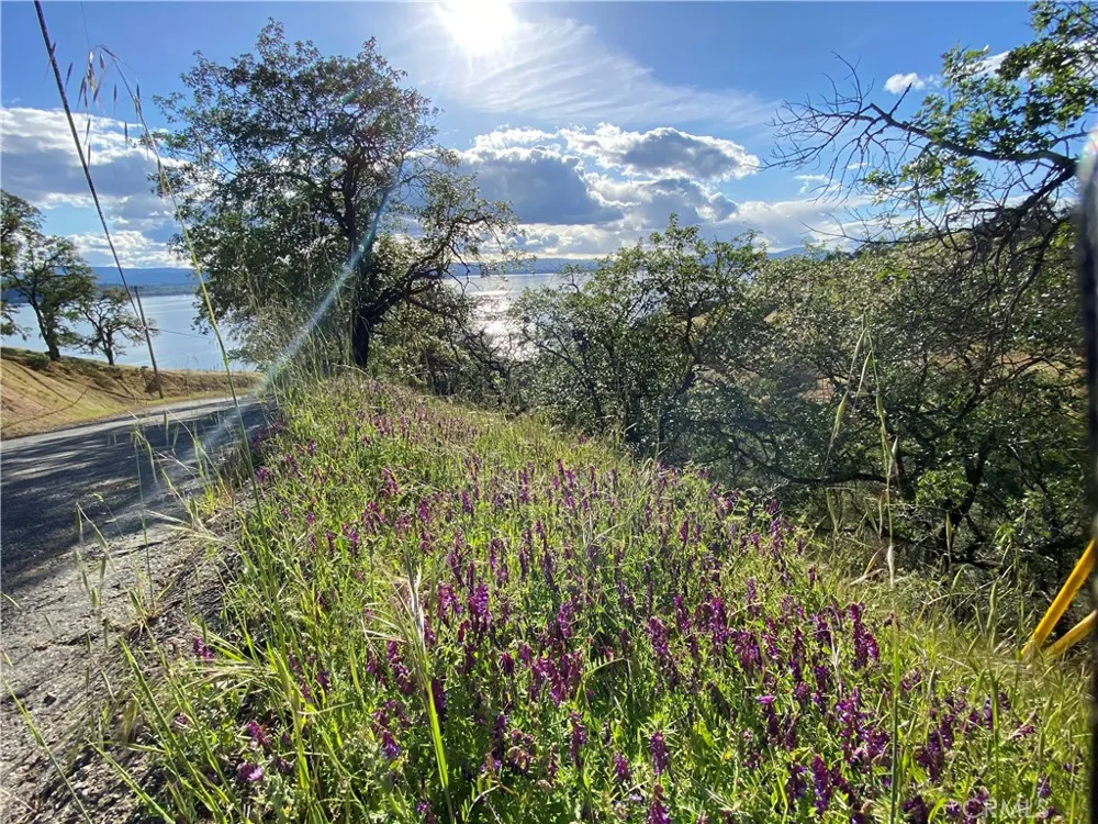 7524 Bruner Drive Glenhaven, CA 95443