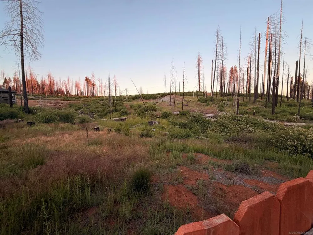 7131 Winding Way Grizzly Flats, CA 95636