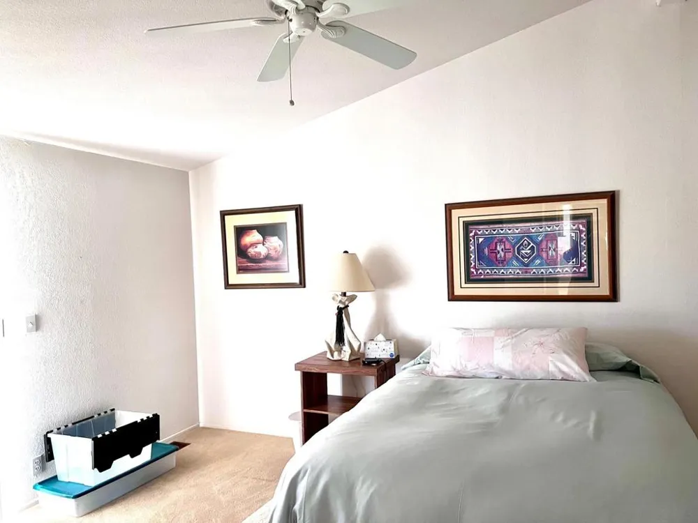 3267 Wagon Rd Borrego Springs, CA 92004