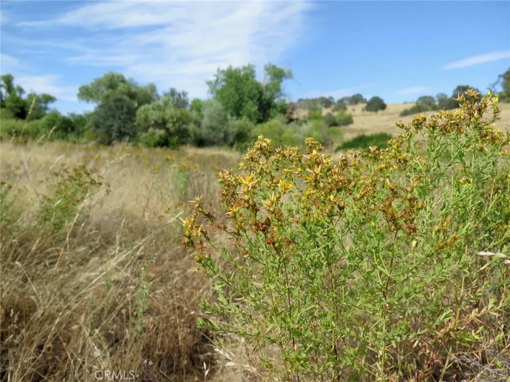 2628 Ranchito La Grange, CA 95329