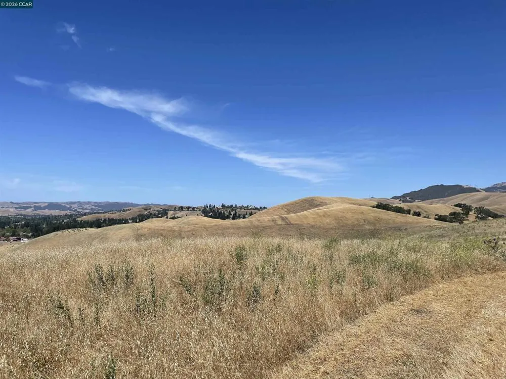 Finley Rd Danville, CA 94583