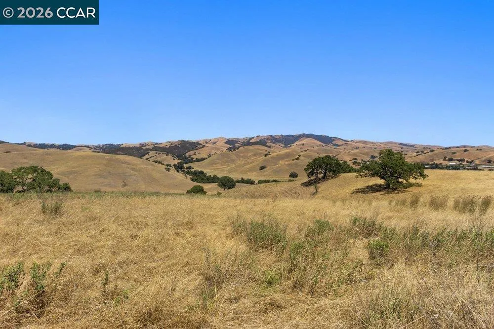 Finley Rd Danville, CA 94583